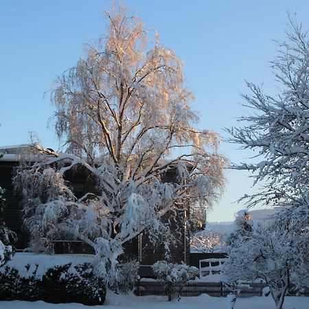 Ferienwohnung Dahoam Angerberg  Екстер'єр фото